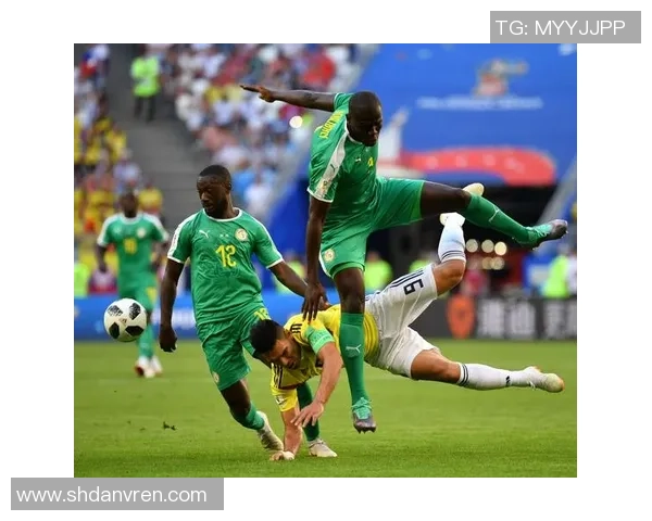 塞尔加尔足球队球星带领国家队崭露头角助力世界杯征程